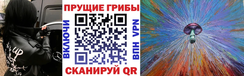 Псилоцибиновые грибы Psilocybe  Пустошка 